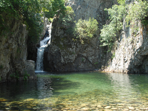 Generic placeholder thumbnail